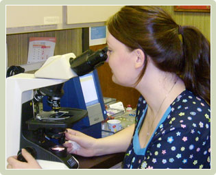 On-Site Laboratory
