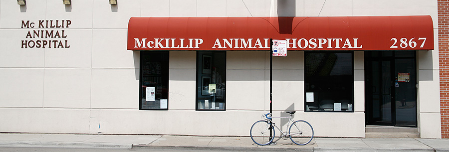 McKillip Animal Hospital Location