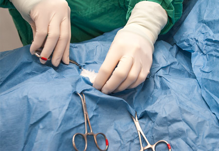 Veterinary Surgical Care